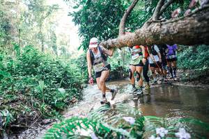 BIB: 
                            <button type="button" onclick="openModal(25457839)" class="btn btn-primary btn-sm float-right btn-popup" data-toggle="modal" data-target=".modal-high-quality">
                        <i class="fas fa-shopping-cart"></i> Add to Cart
                    </button>
                                            <button type="button" onclick="isThisMe(25457839, true)" class="btn btn-success btn-sm float-right btn-popup btn-isme hidden" data-toggle="tooltip" data-placement="bottom" title="นี่คือรูปของคุณใช่ไหม คลิกที่นี่เพื่อเอาเข้าอัลบั้ม">
                        <i class="fas fa-plus"></i> Add to album
                    </button>
                    <button type="button" onclick="isThisMe(25457839, false)" class="btn btn-warning btn-sm float-right btn-popup btn-isnotme hidden">
                        <i class="fas fa-ban"></i> Remove from album
                    </button>